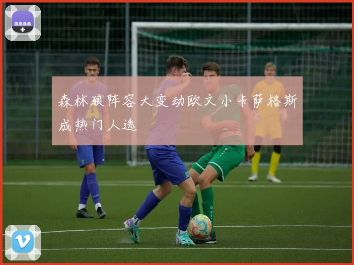 森林狼阵容大变动欧文小卡萨格斯成热门人选